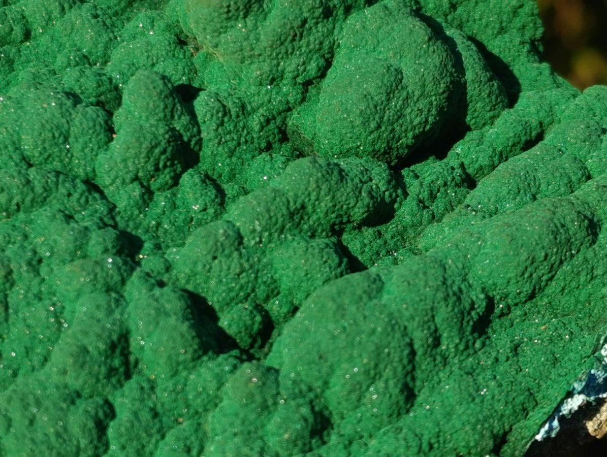 Natural Botryoidal Malachite Crystalline Plate Specimen x 1 From Kolwezi, Congo