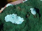 Natural Botryoidal Malachite Crystalline Plate Specimen x 1 From Kolwezi, Congo