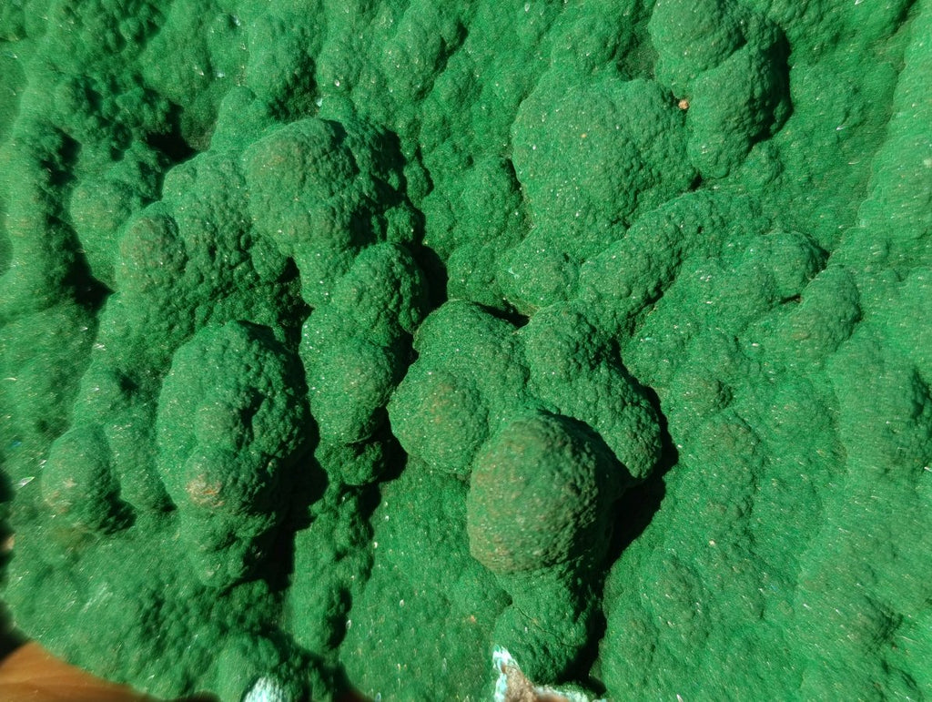 Natural Botryoidal Malachite Crystalline Plate Specimen x 1 From Kolwezi, Congo