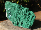 Natural Botryoidal Malachite Crystalline Plate Specimen x 1 From Kolwezi, Congo