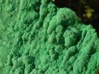 Natural Botryoidal Malachite Crystalline Plate Specimen x 1 From Kolwezi, Congo