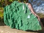 Natural Botryoidal Malachite Crystalline Plate Specimen x 1 From Kolwezi, Congo