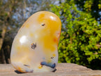 Polished Dendritic Carnelian Agate Free Form x 1 From Madagascar