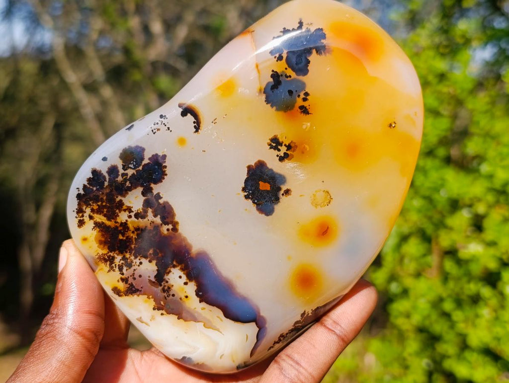 Polished Dendritic Carnelian Agate Free Form x 1 From Madagascar
