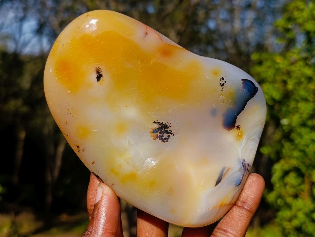 Polished Dendritic Carnelian Agate Free Form x 1 From Madagascar