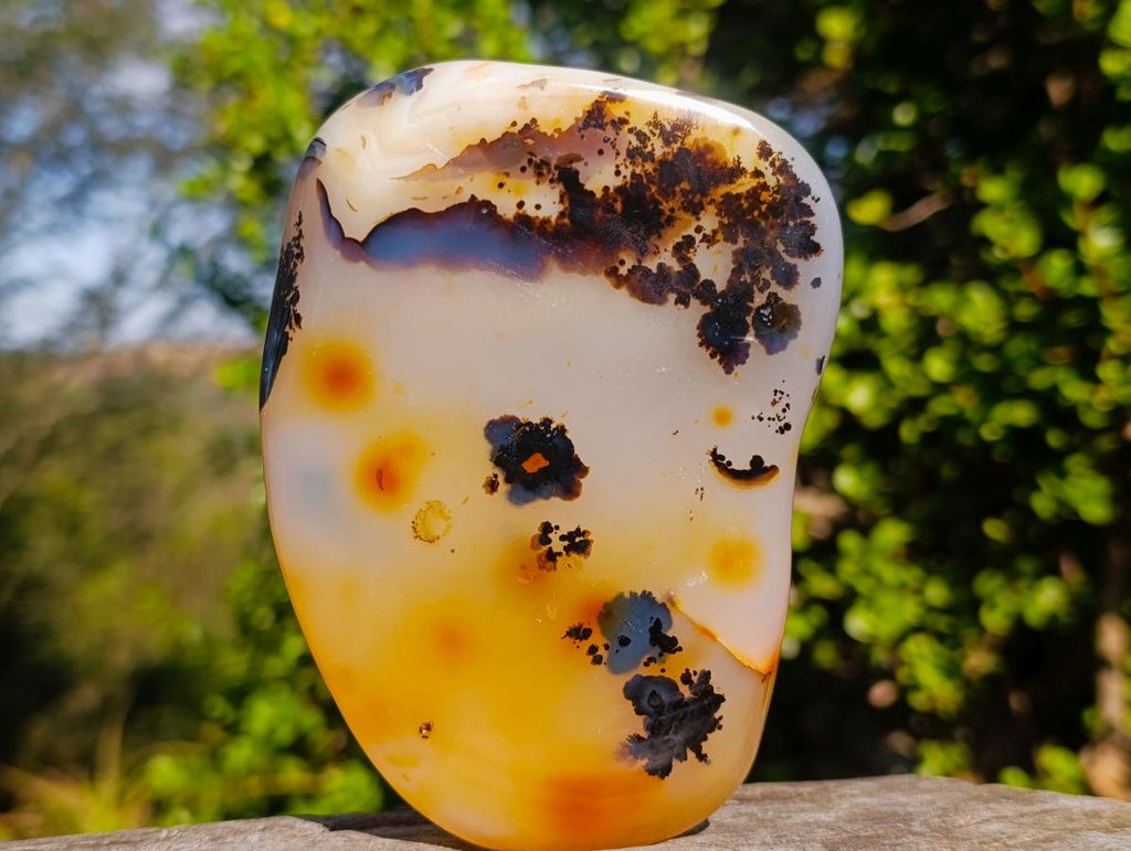 Polished Dendritic Carnelian Agate Free Form x 1 From Madagascar