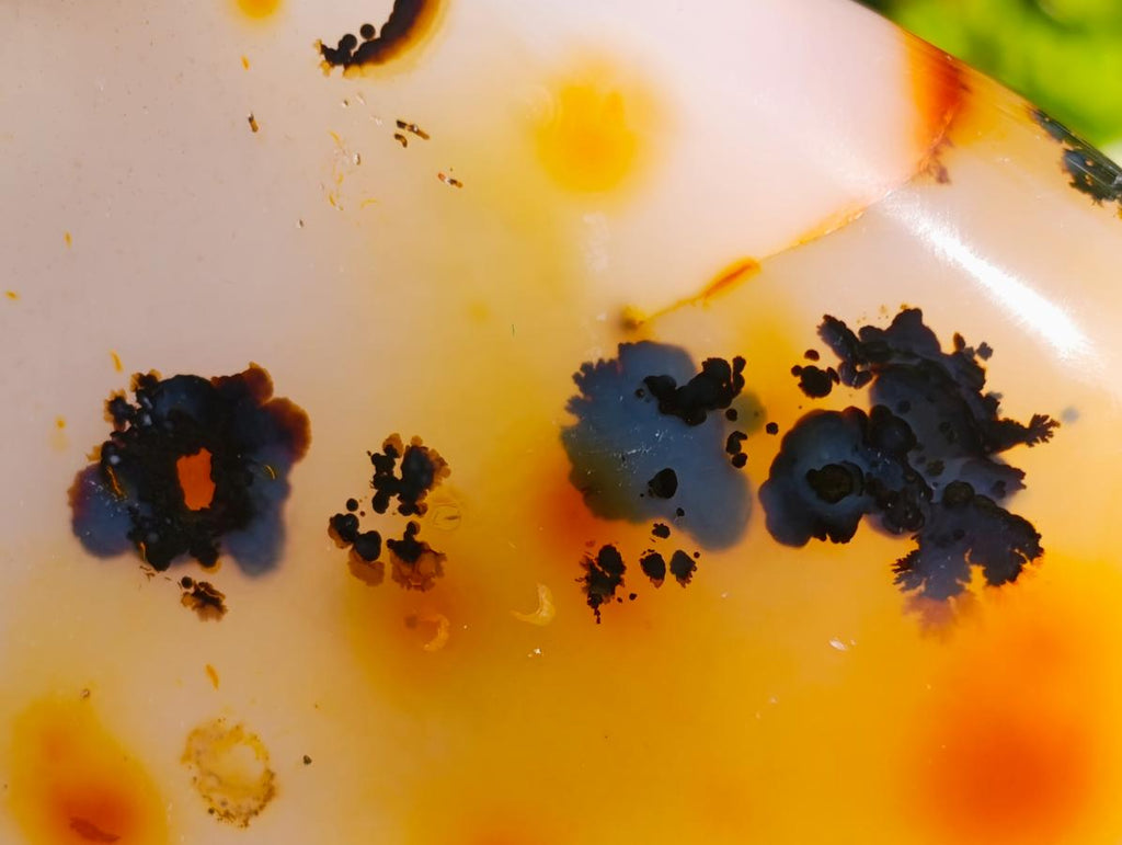 Polished Dendritic Carnelian Agate Free Form x 1 From Madagascar