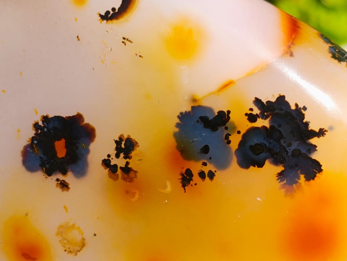 Polished Dendritic Carnelian Agate Free Form x 1 From Madagascar
