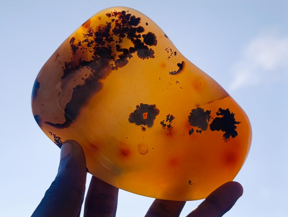 Polished Dendritic Carnelian Agate Free Form x 1 From Madagascar