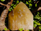 Polished Large Golden Citrine Twin Crystal x 1 From Anjozorobe Madagascar