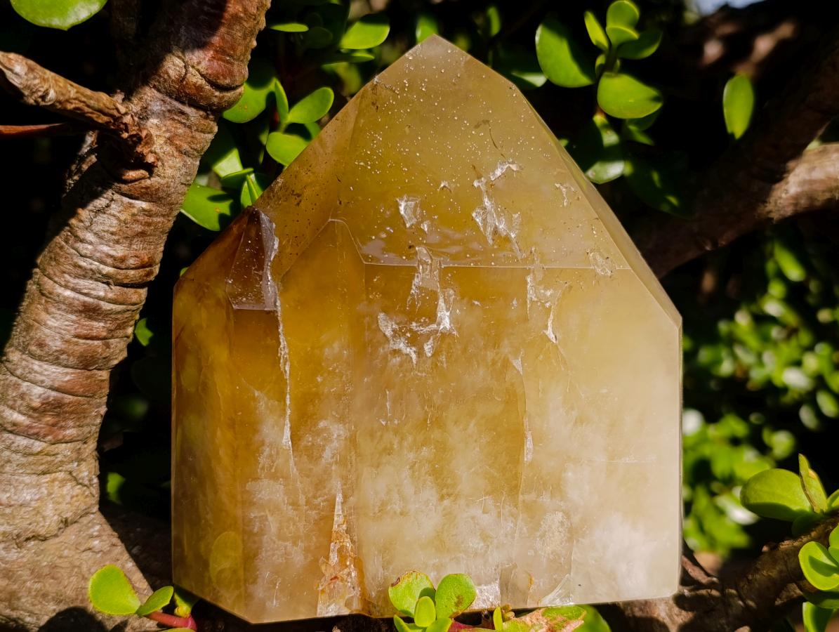 Polished Large Golden Citrine Twin Crystal x 1 From Anjozorobe Madagascar