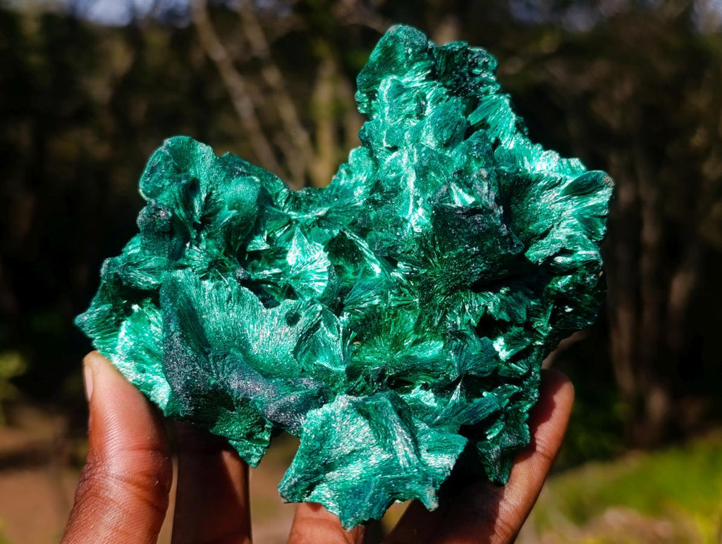 Natural Exquisite Silky Malachite Cabinet Specimen x 1 From Kasompe, Congo
