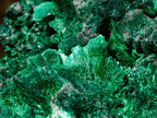 Natural Exquisite Silky Malachite Cabinet Specimen x 1 From Kasompe, Congo