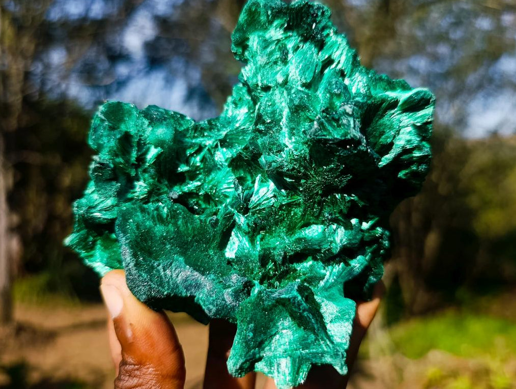 Natural Exquisite Silky Malachite Cabinet Specimen x 1 From Kasompe, Congo