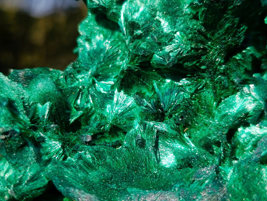 Natural Exquisite Silky Malachite Cabinet Specimen x 1 From Kasompe, Congo