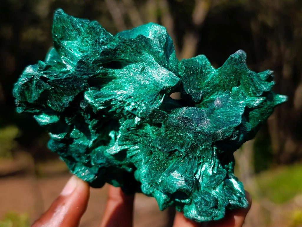 Natural Exquisite Silky Malachite Cabinet Specimen x 1 From Kasompe, Congo