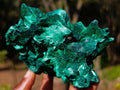 Natural Exquisite Silky Malachite Cabinet Specimen x 1 From Kasompe, Congo
