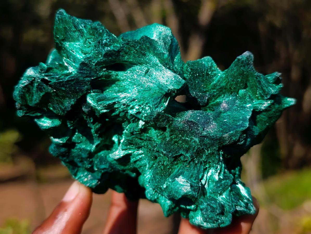 Natural Exquisite Silky Malachite Cabinet Specimen x 1 From Kasompe, Congo