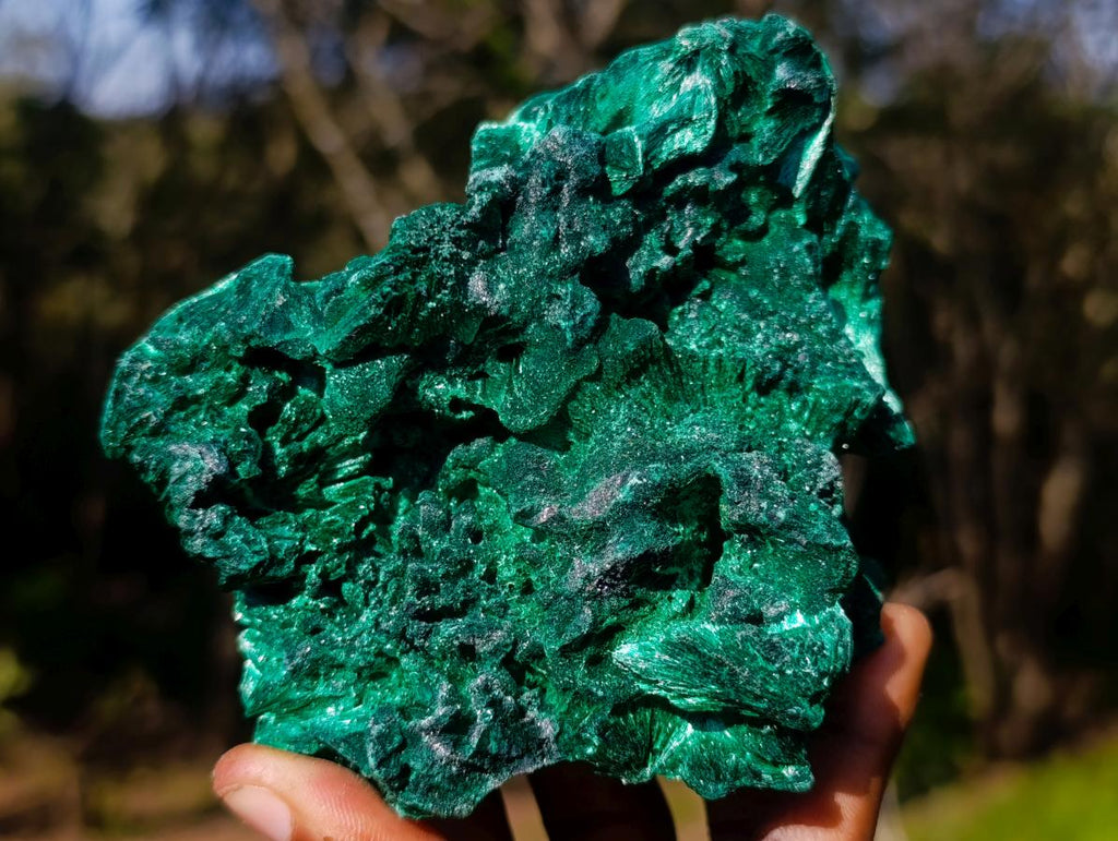 Natural Exquisite Silky Malachite Cabinet Specimen x 1 From Kasompe, Congo