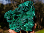 Natural Exquisite Silky Malachite Cabinet Specimen x 1 From Kasompe, Congo