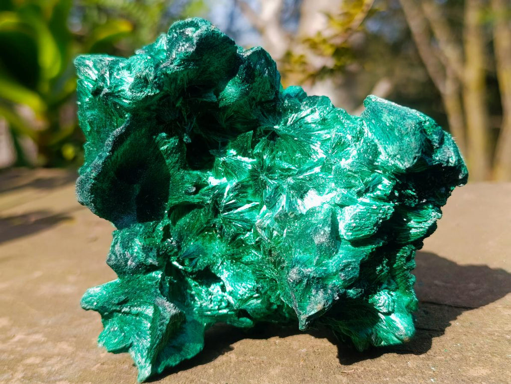 Natural Exquisite Silky Malachite Cabinet Specimen x 1 From Kasompe, Congo