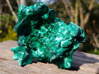 Natural Exquisite Silky Malachite Cabinet Specimen x 1 From Kasompe, Congo