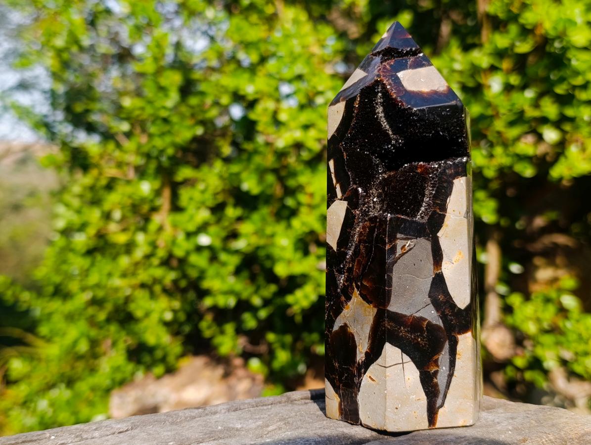 Polished Septerye Sauvage Display Crystal x 1 From Mahajanga, Madagascar