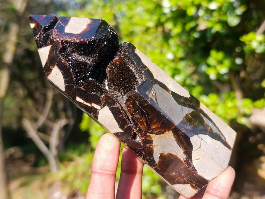 Polished Septerye Sauvage Display Crystal x 1 From Mahajanga, Madagascar