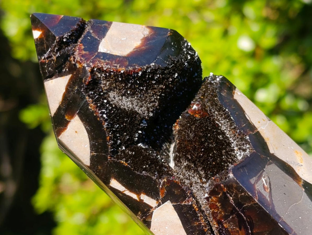 Polished Septerye Sauvage Display Crystal x 1 From Mahajanga, Madagascar
