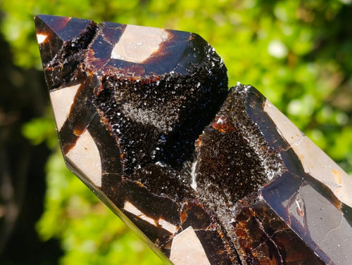 Polished Septerye Sauvage Display Crystal x 1 From Mahajanga, Madagascar