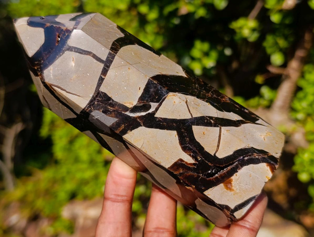 Polished Septerye Sauvage Display Crystal x 1 From Mahajanga, Madagascar
