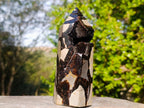 Polished Septerye Sauvage Display Crystal x 1 From Mahajanga, Madagascar