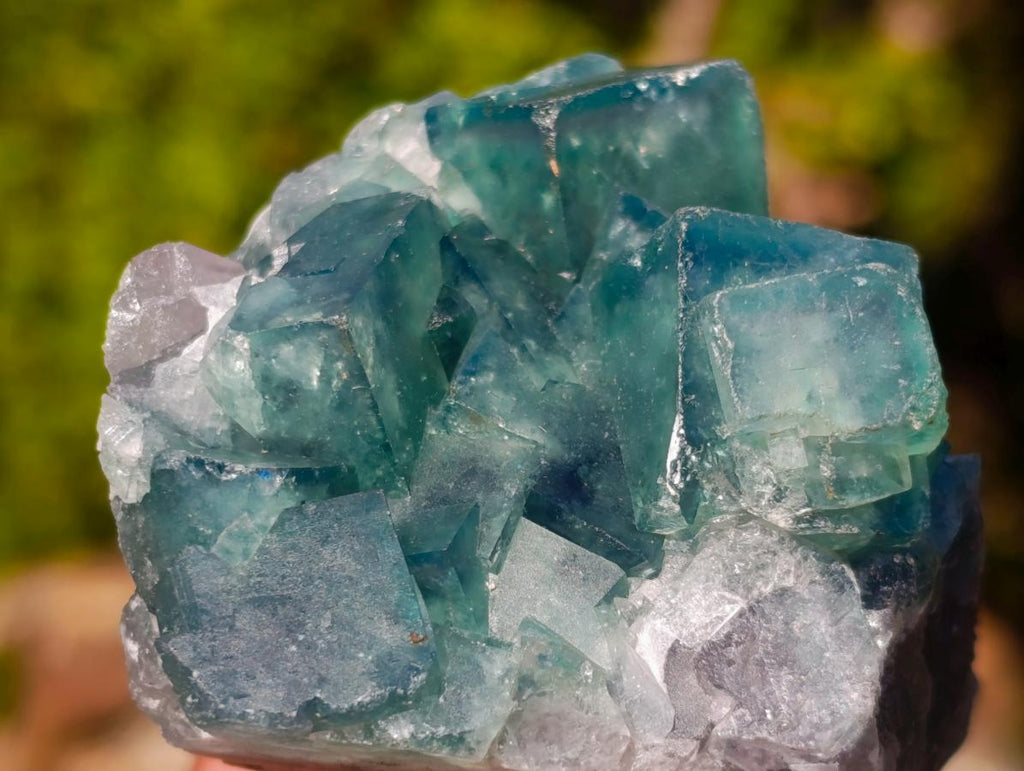 Natural Mix of African Minerals and Crystals Set of 6 x 1 From Southern Africa