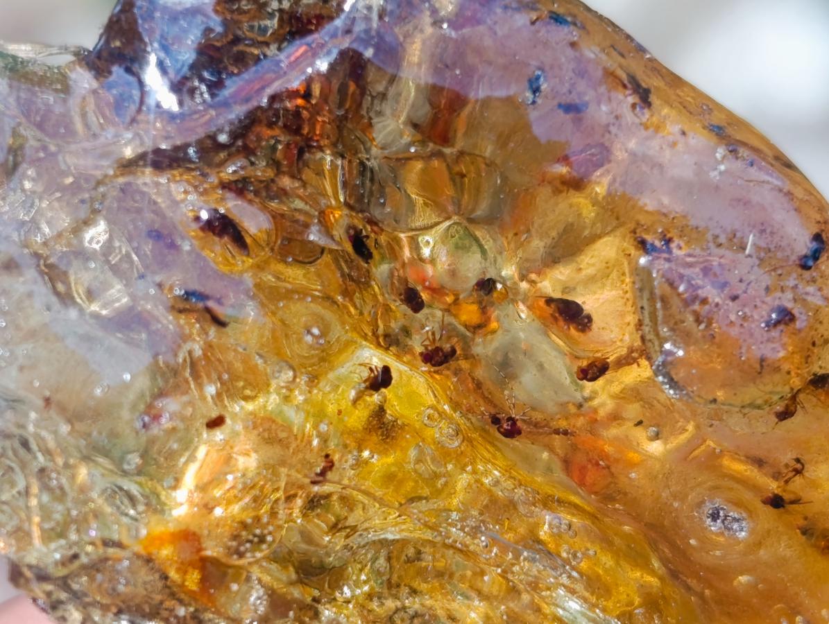 Natural Mix of African Minerals and Crystals Set of 6 x 1 From Southern Africa