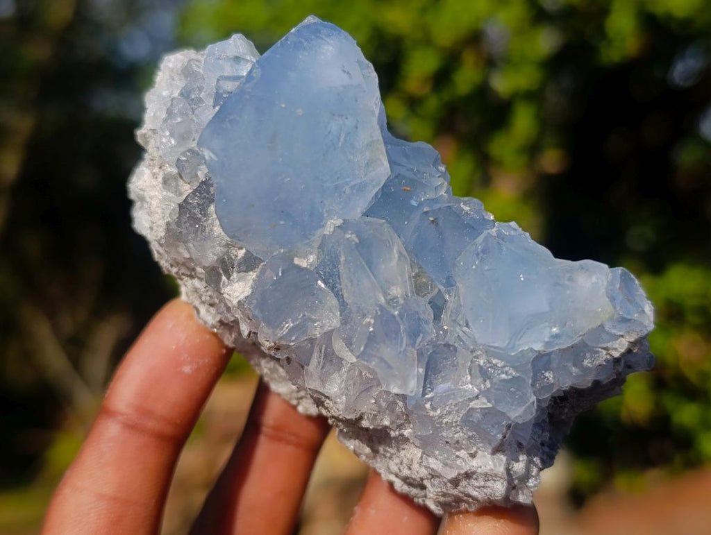 Natural Mix of African Minerals and Crystals Set of 6 x 1 From Southern Africa