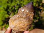 Natural Mix of African Minerals and Crystals Set of 6 x 1 From Southern Africa