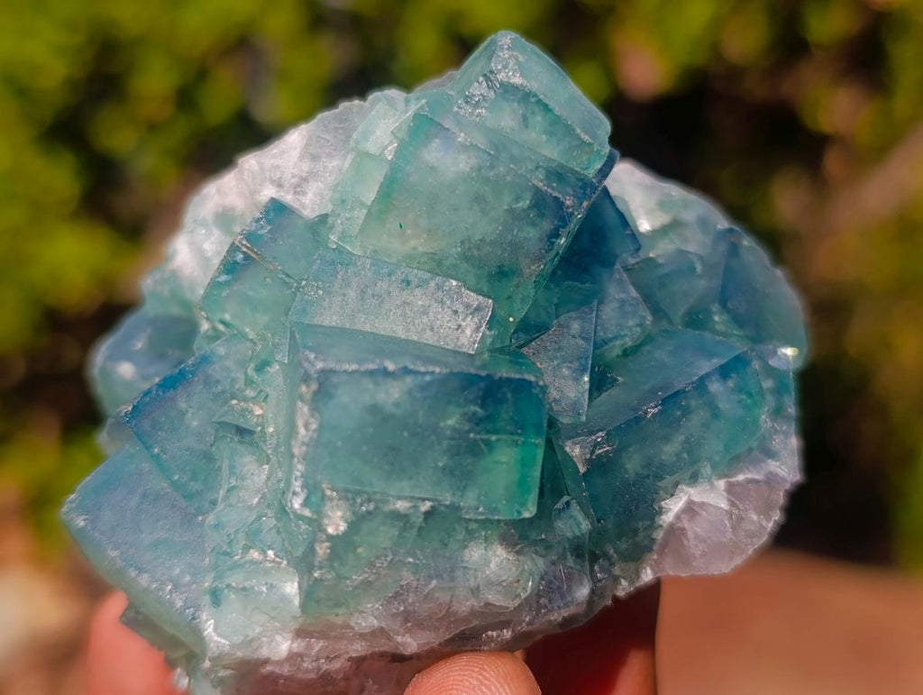 Natural Mix of African Minerals and Crystals Set of 6 x 1 From Southern Africa