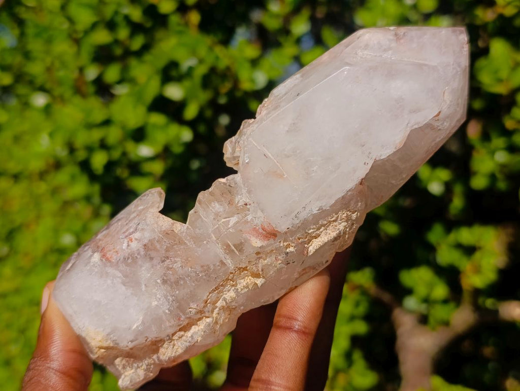 Polished and Natural Skeletal Quartz Window Crystal x 1 From Madagascar