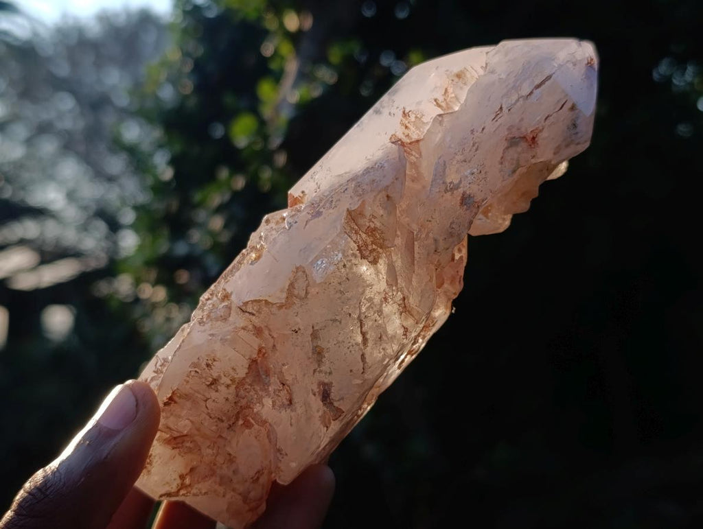Polished and Natural Skeletal Quartz Window Crystal x 1 From Madagascar