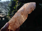 Polished and Natural Skeletal Quartz Window Crystal x 1 From Madagascar