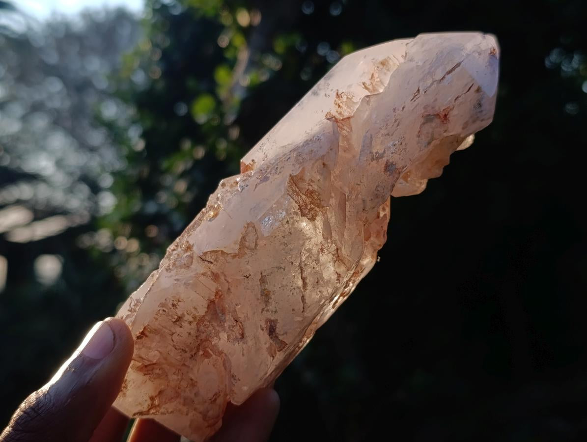 Polished and Natural Skeletal Quartz Window Crystal x 1 From Madagascar