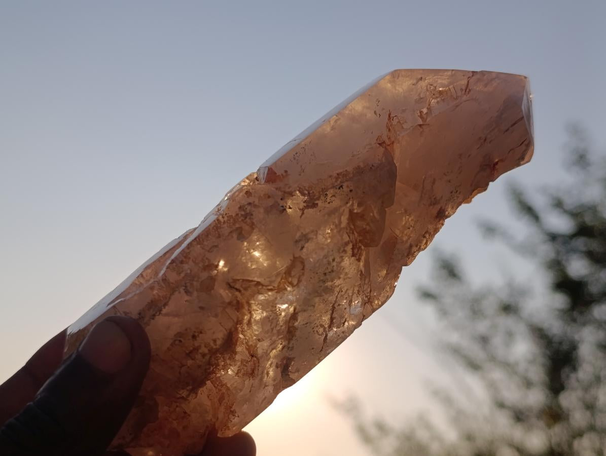 Polished and Natural Skeletal Quartz Window Crystal x 1 From Madagascar