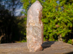 Polished and Natural Skeletal Quartz Window Crystal x 1 From Madagascar