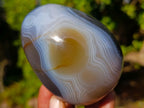 Polished Large Banded Agate Egg x 1 From Madagascar