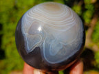 Polished Large Banded Agate Egg x 1 From Madagascar