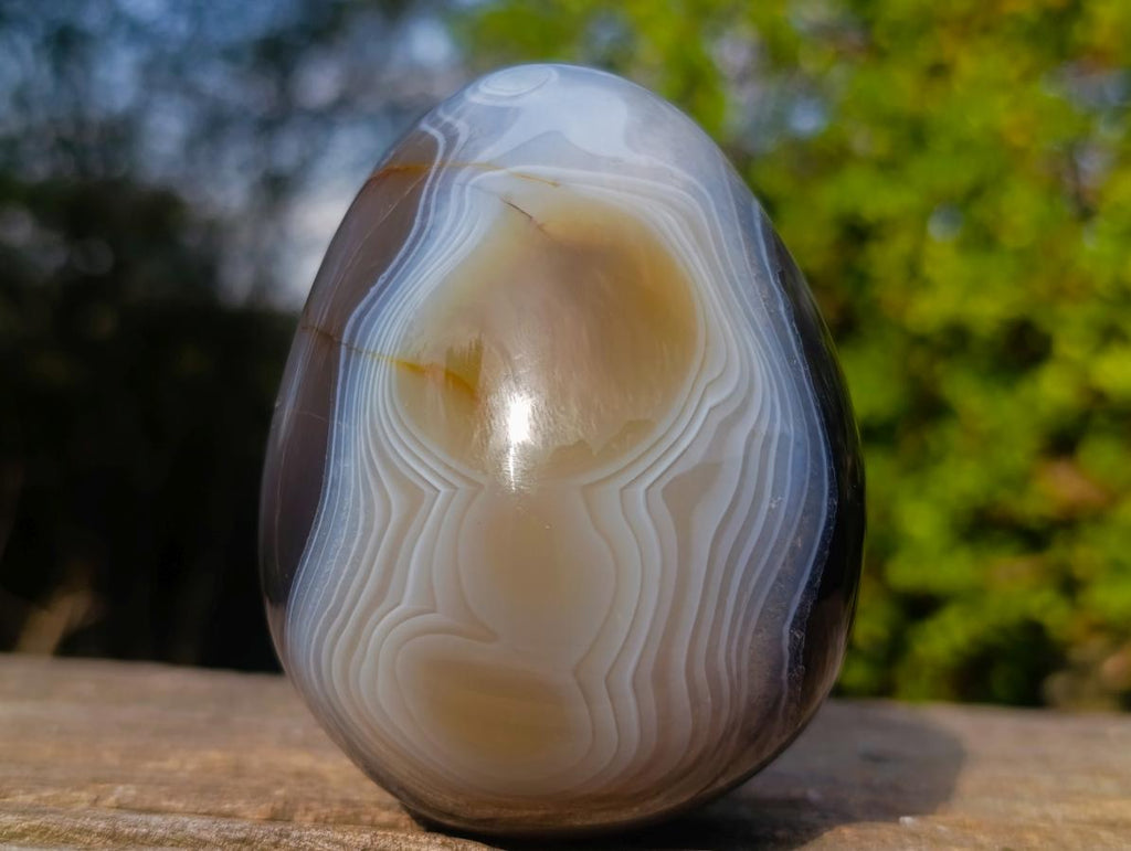 Polished Large Banded Agate Egg x 1 From Madagascar