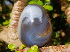Polished Large Banded Agate Egg x 1 From Madagascar