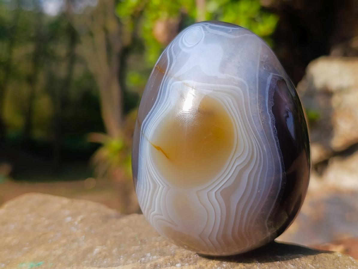 Polished Large Banded Agate Egg x 1 From Madagascar