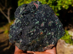 Natural Libethenite Crystals on Dolomite Matrix Specimen x 1 From Kolwezi, Congo