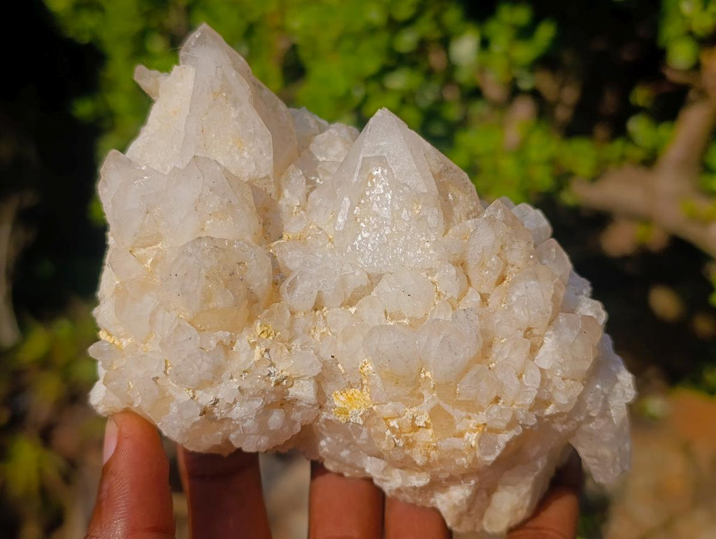 Natural "Love Star" Cascading Pineapple Quartz Crystal Cluster x 1 From Madagascar